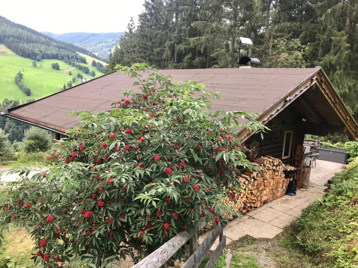 Wasserfallhuette Saalbach Luaran gambar