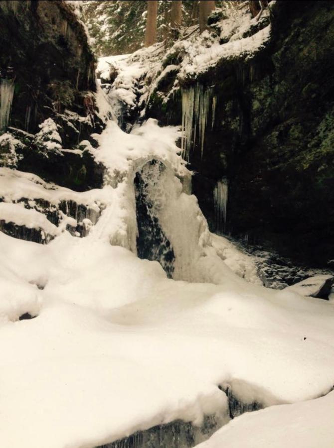 Wasserfallhuette Saalbach Luaran gambar